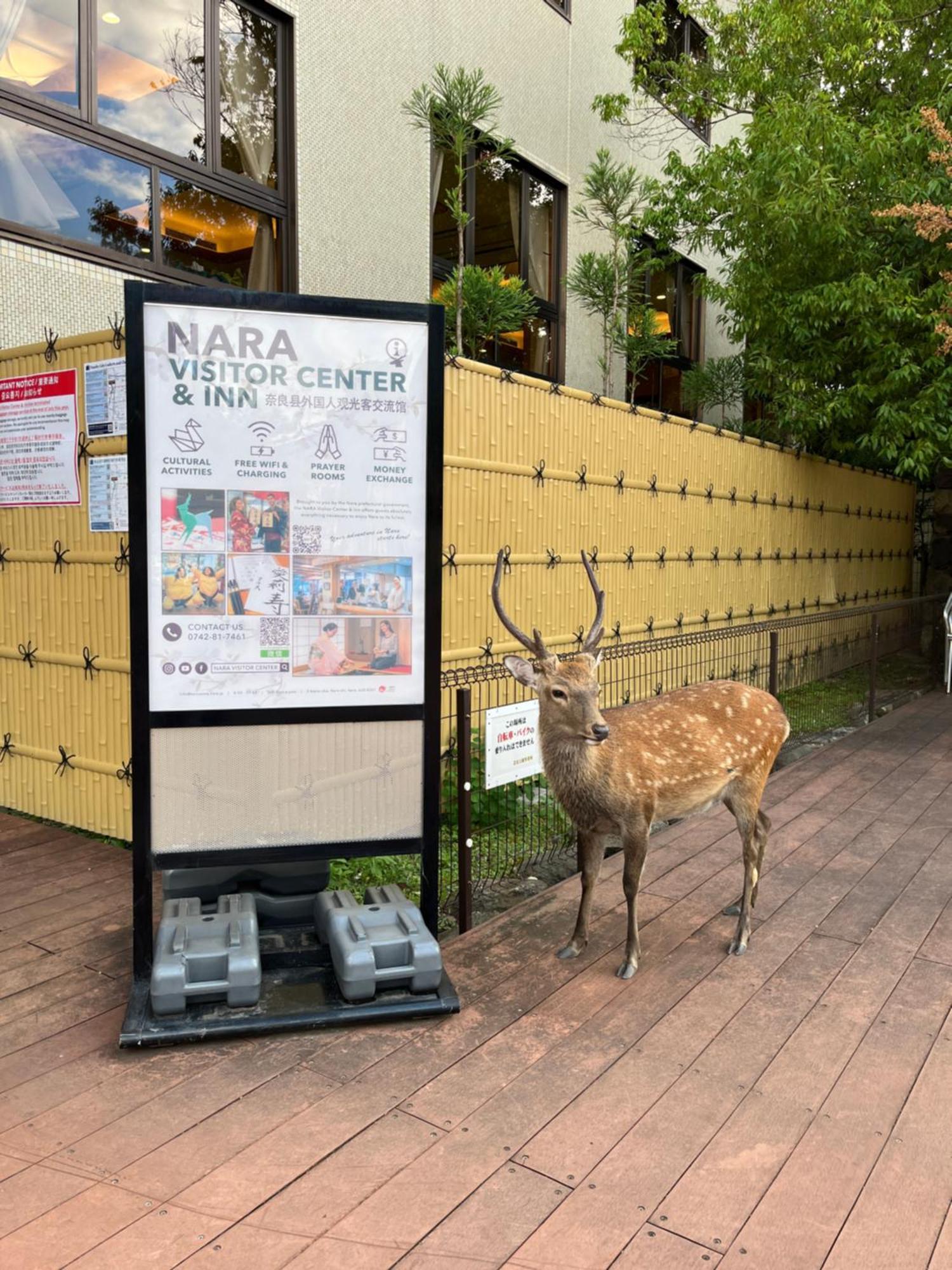Nara Visitor Center And Inn Екстериор снимка